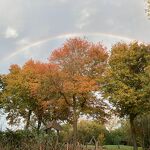 Regenboog Vanaf de Kattenbosch kermis in de hel… nr. 202410678