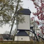 Molen Lente 2021 TvO