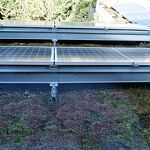 Sefdum tussen de zonnepanelen